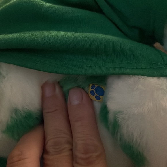 BUILD A BEAR SHAMROCK BEAR - Picture 4 of 5